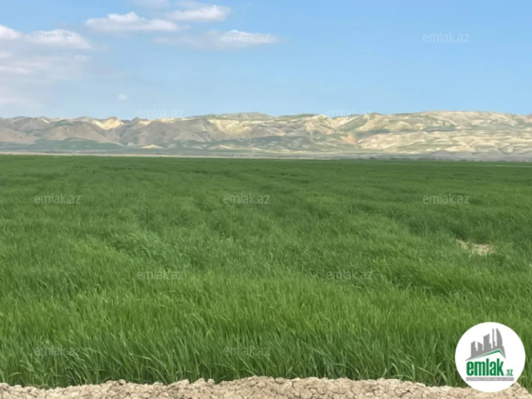Satılır torpaq sahəsi 25000 m²