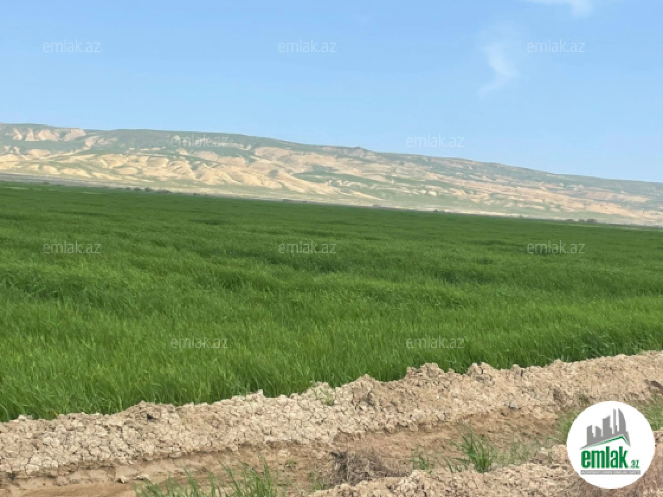 Satılır torpaq sahəsi 25000 m²