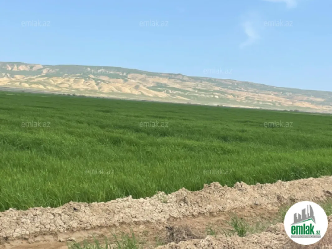 Satılır torpaq sahəsi 25000 m²