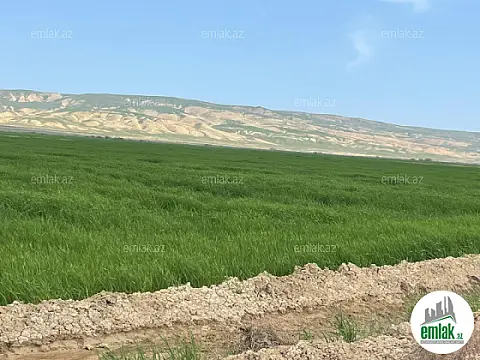 Satılır torpaq sahəsi 25000 m² — Bakı 25000.00 m²