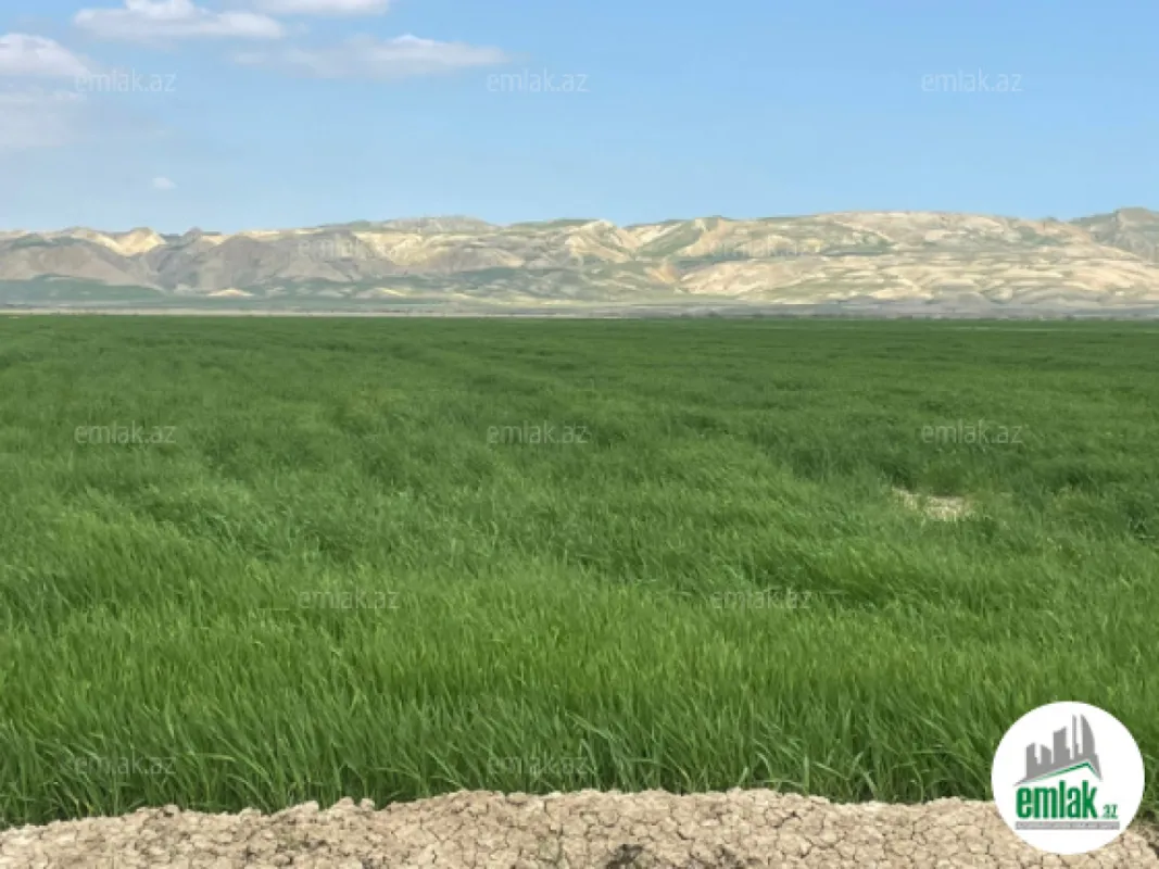 Satılır torpaq sahəsi 25000 m²