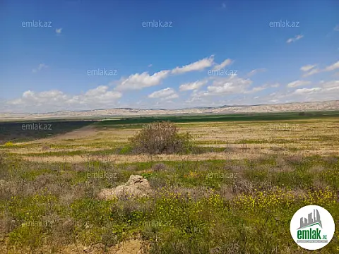 Satılır torpaq sahəsi 25000 m²