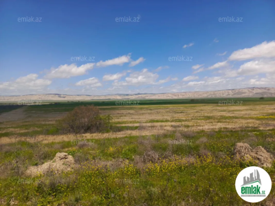 Satılır torpaq sahəsi 25000 m²