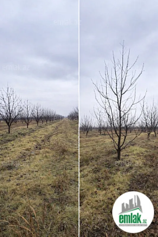 Satılır torpaq sahəsi 125 m²