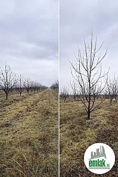 Satılır torpaq sahəsi 125 m²