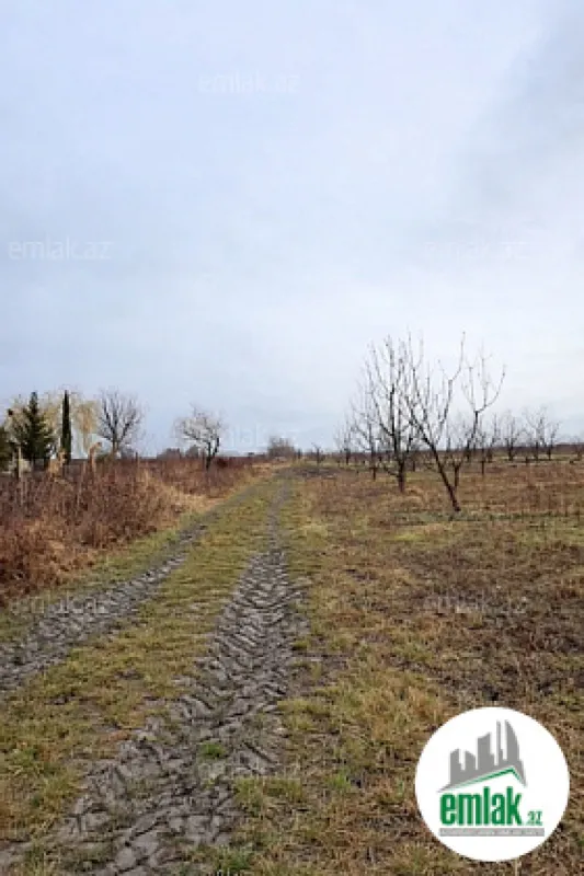 Satılır torpaq sahəsi 125 m²