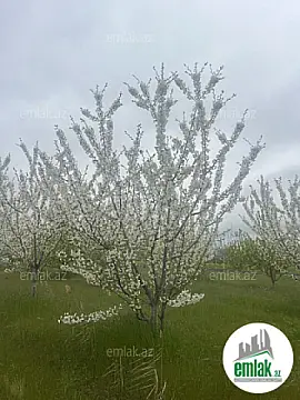 Satılır torpaq sahəsi 125 m²