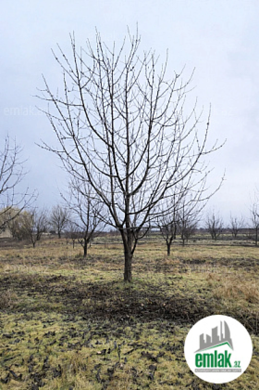 Satılır torpaq sahəsi 125 m²