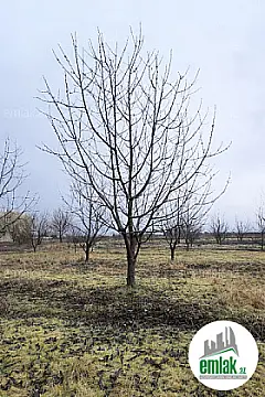 Satılır torpaq sahəsi 125 m²