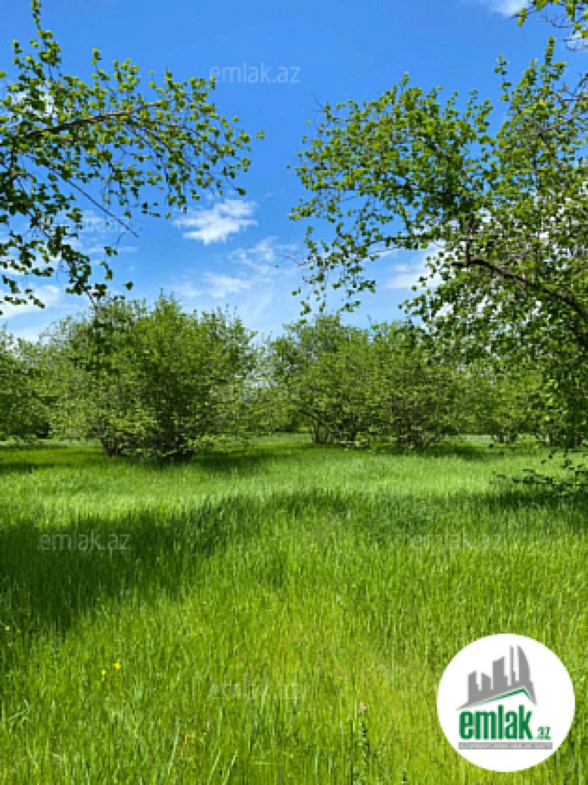 Satılır torpaq sahəsi 100 m²
