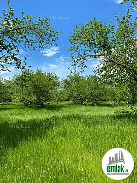 Satılır torpaq sahəsi 100 m²