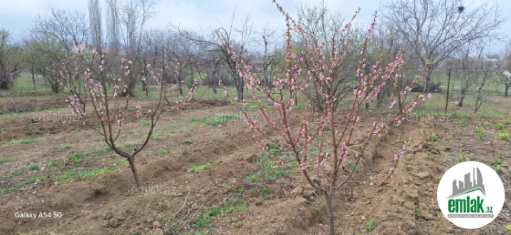 Satılır torpaq sahəsi 20 m²