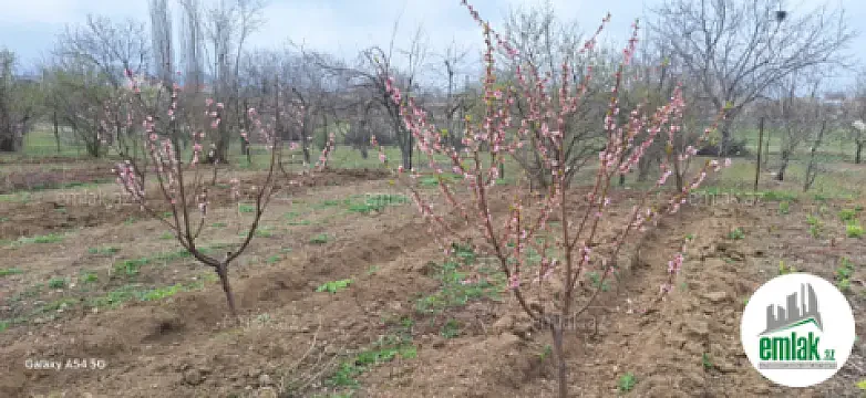 Satılır torpaq sahəsi 20 m² — Bakı 20.00 m²