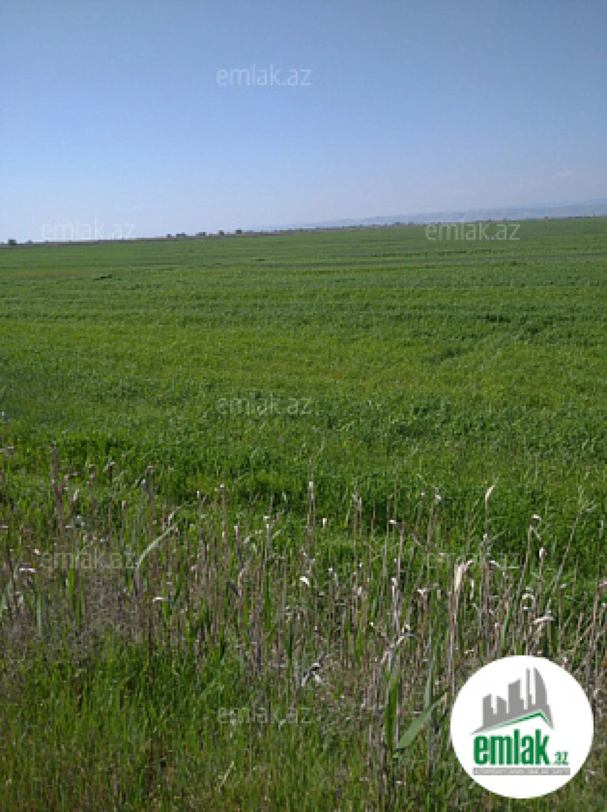 Satılır torpaq sahəsi 3000 m²