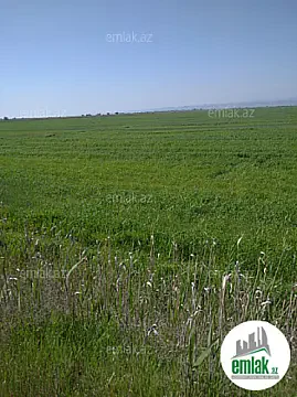 Satılır torpaq sahəsi 3000 m²