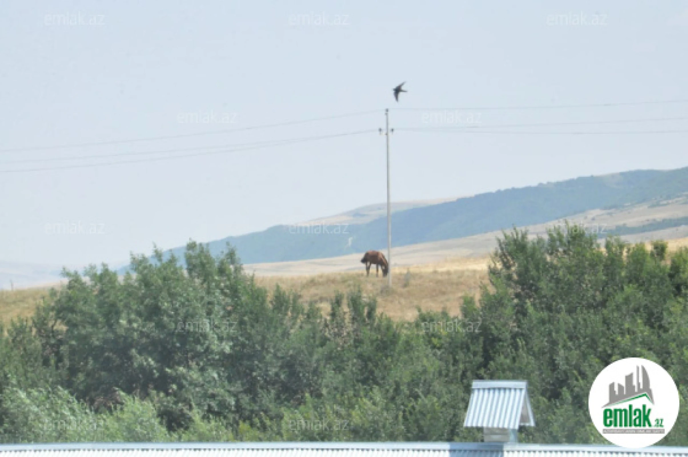 Satılır torpaq sahəsi 3000 m²