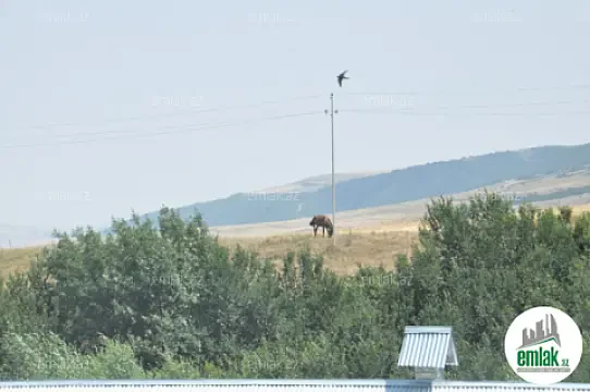 Satılır torpaq sahəsi 3000 m²