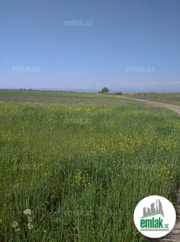 Satılır torpaq sahəsi 3000 m²
