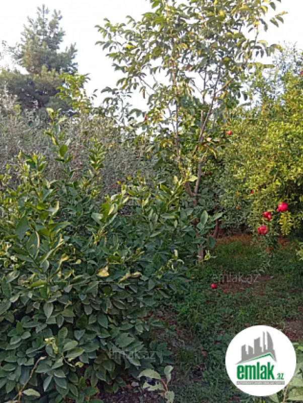 Satılır torpaq sahəsi 28 m²