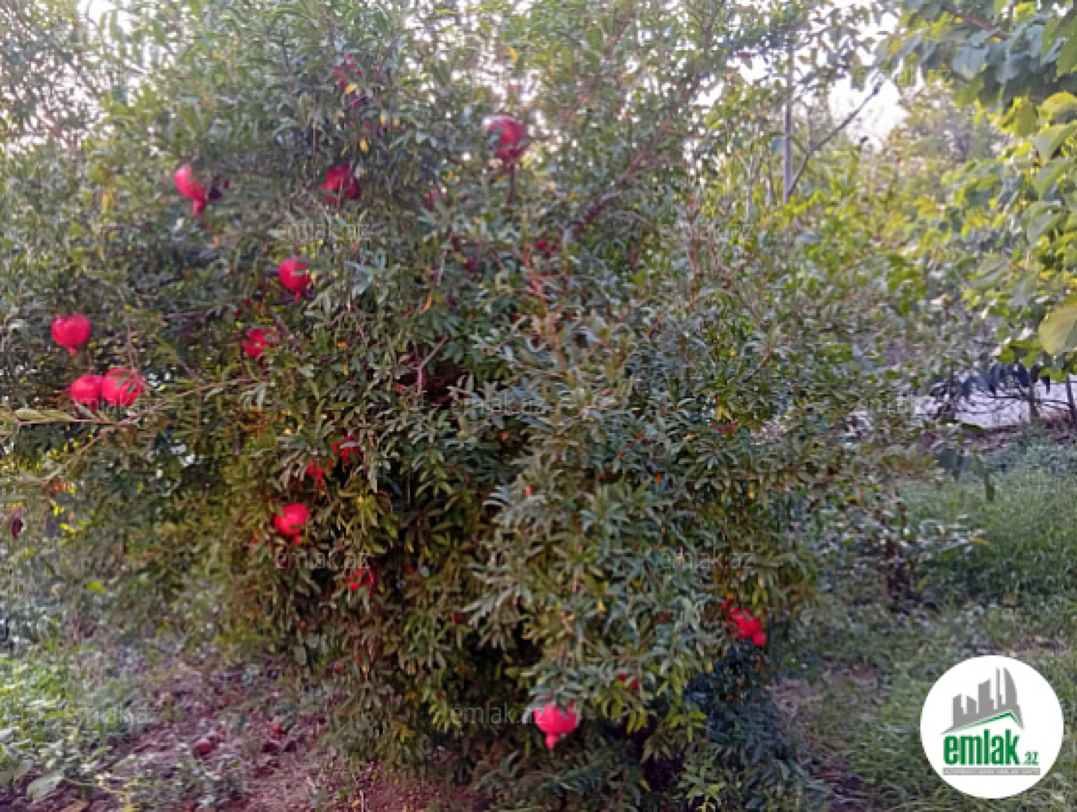 Satılır torpaq sahəsi 28 m²