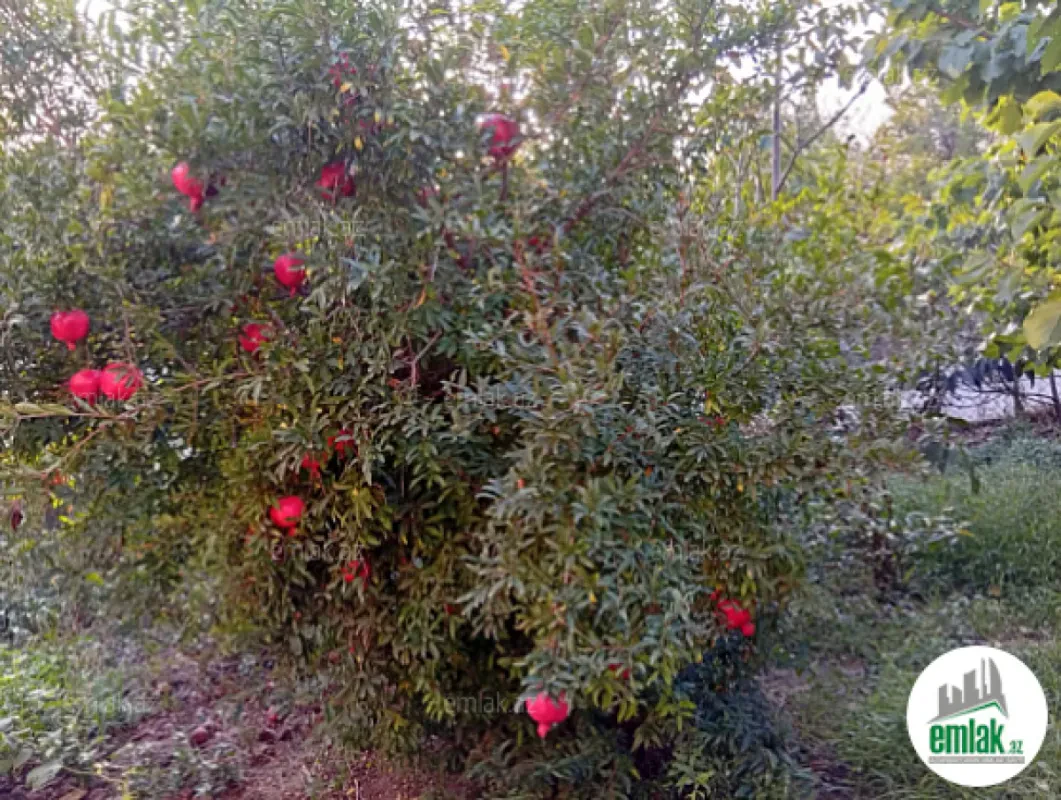 Satılır torpaq sahəsi 28 m²