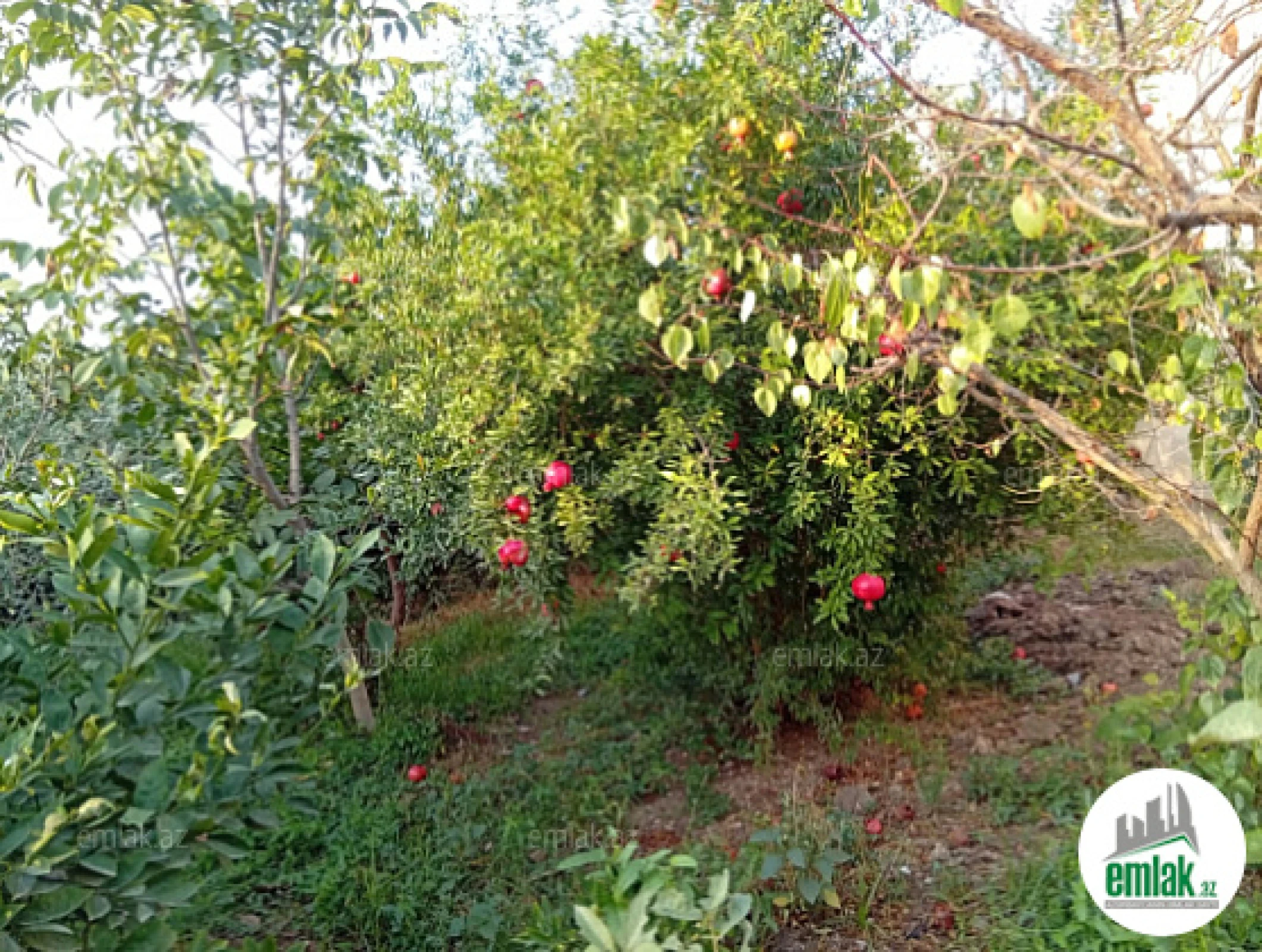 Satılır torpaq sahəsi 28 m²