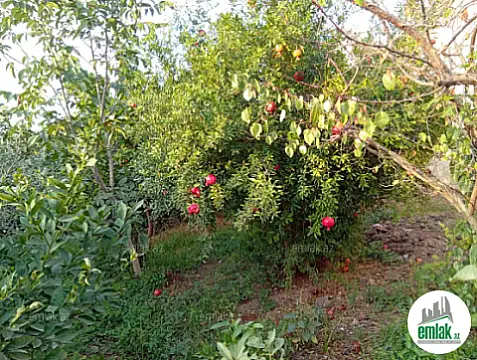 Satılır torpaq sahəsi 28 m²