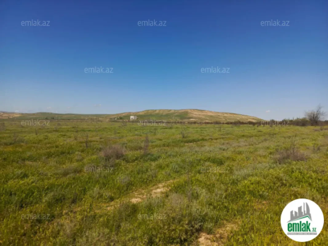 Satılır 2 otaqlı obyekt 1000 m²