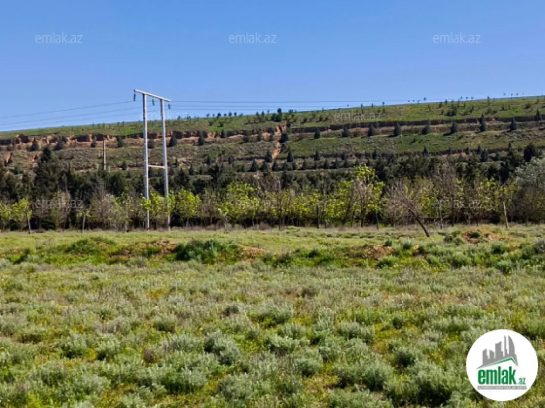 Satılır 2 otaqlı obyekt 1000 m²