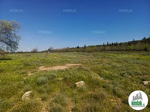 Satılır 2 otaqlı obyekt 1000 m²