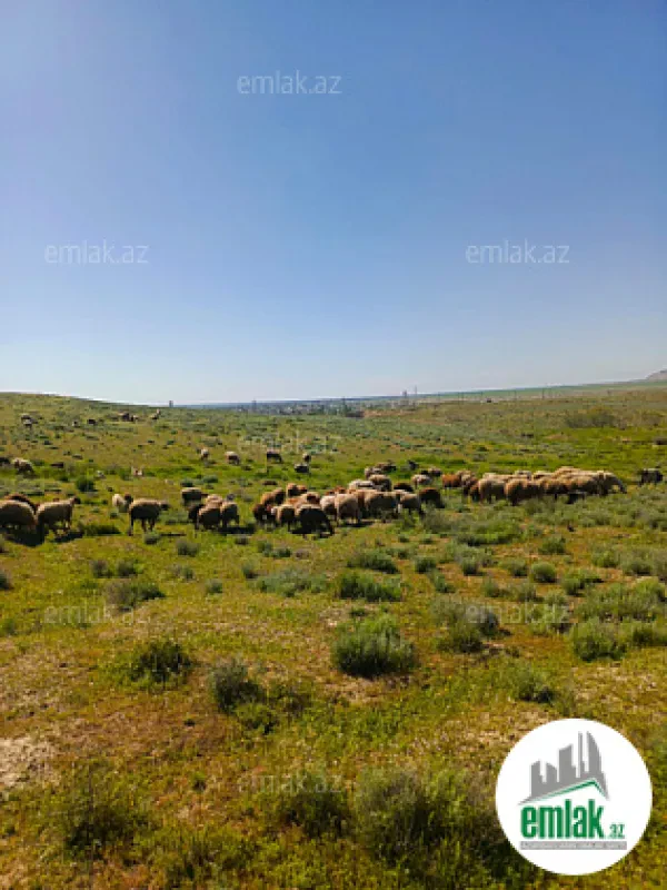 Satılır 2 otaqlı obyekt 1000 m²