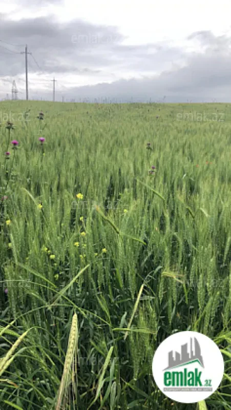 Satılır torpaq sahəsi 7500 m²