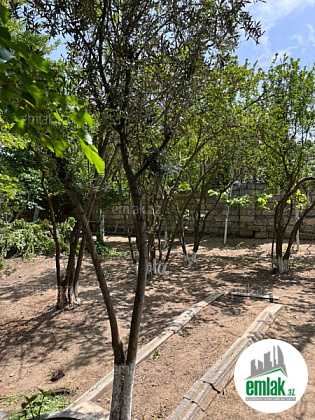 Satılır torpaq sahəsi 22 m² — Bakı 22.00 m²