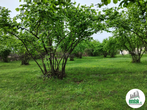 Satılır torpaq sahəsi 61 m²