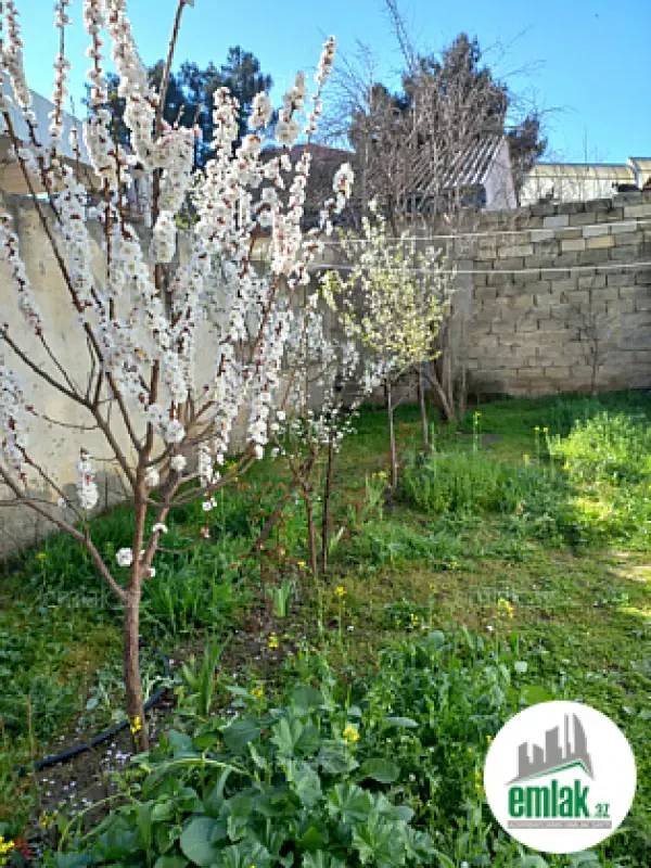 Satılır 2 otaqlı həyət evi 80 m²