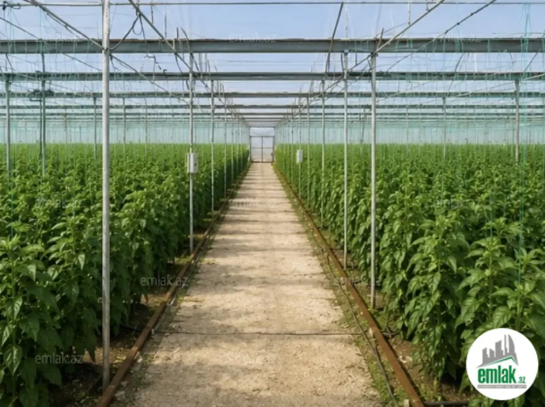 Satılır 14 otaqlı obyekt 5500 m²