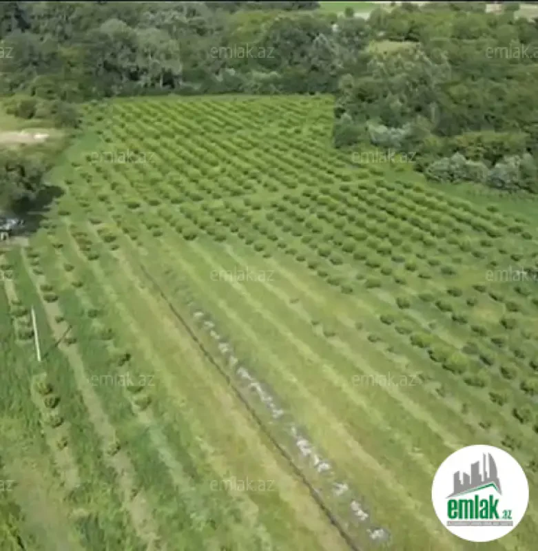 Satılır torpaq sahəsi 5000 m²