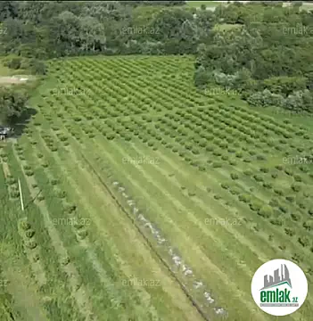 Satılır torpaq sahəsi 5000 m² — Bakı 5000.00 m²