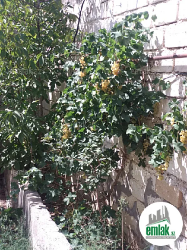 Satılır torpaq sahəsi 27 m²