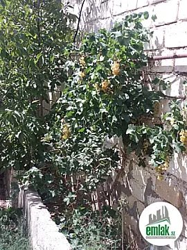 Satılır torpaq sahəsi 27 m²