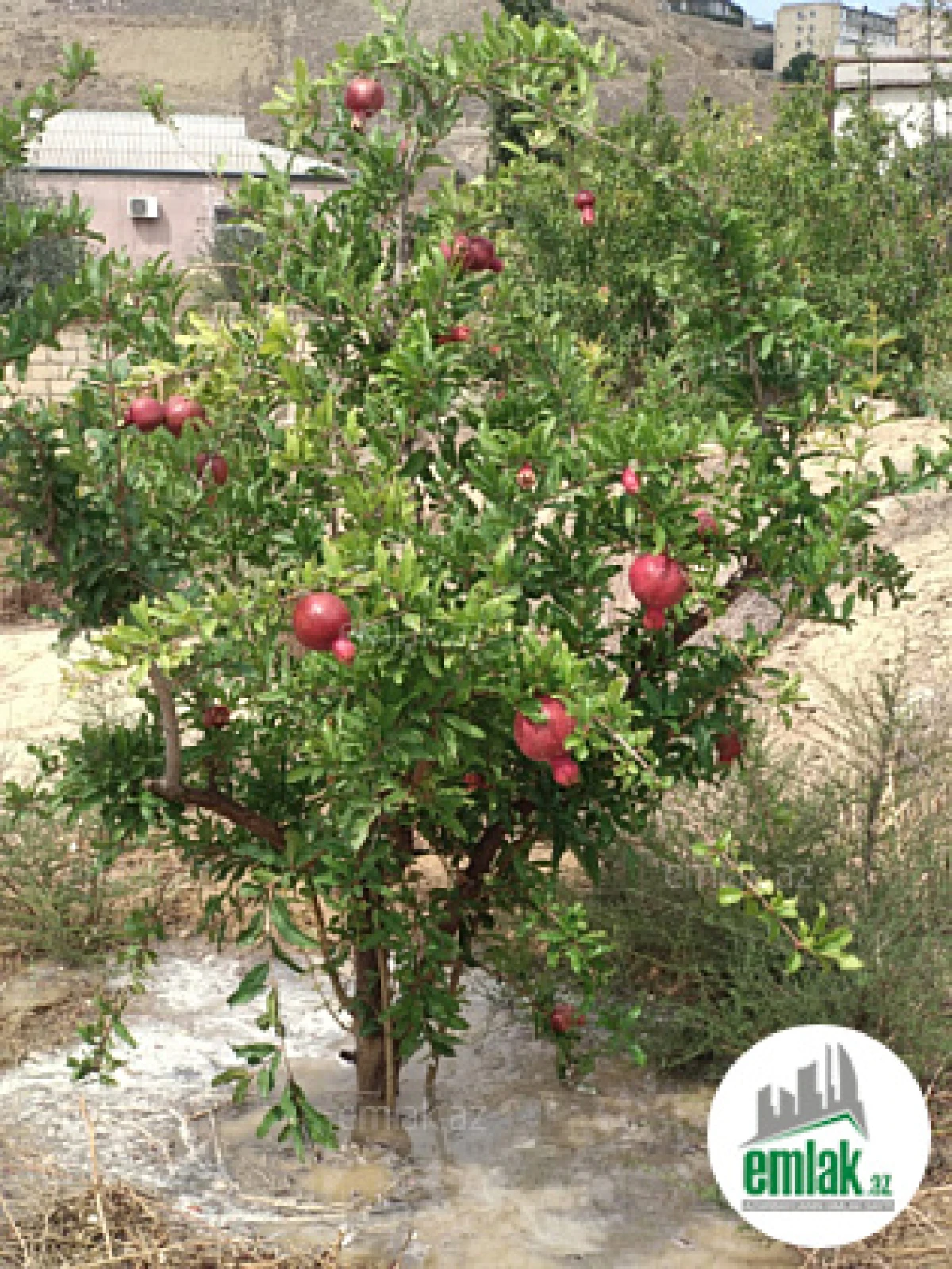 Satılır torpaq sahəsi 27 m²