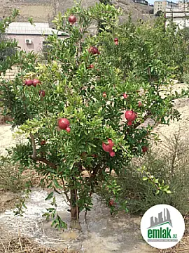 Satılır torpaq sahəsi 27 m²