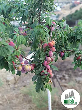 Satılır torpaq sahəsi 27 m²