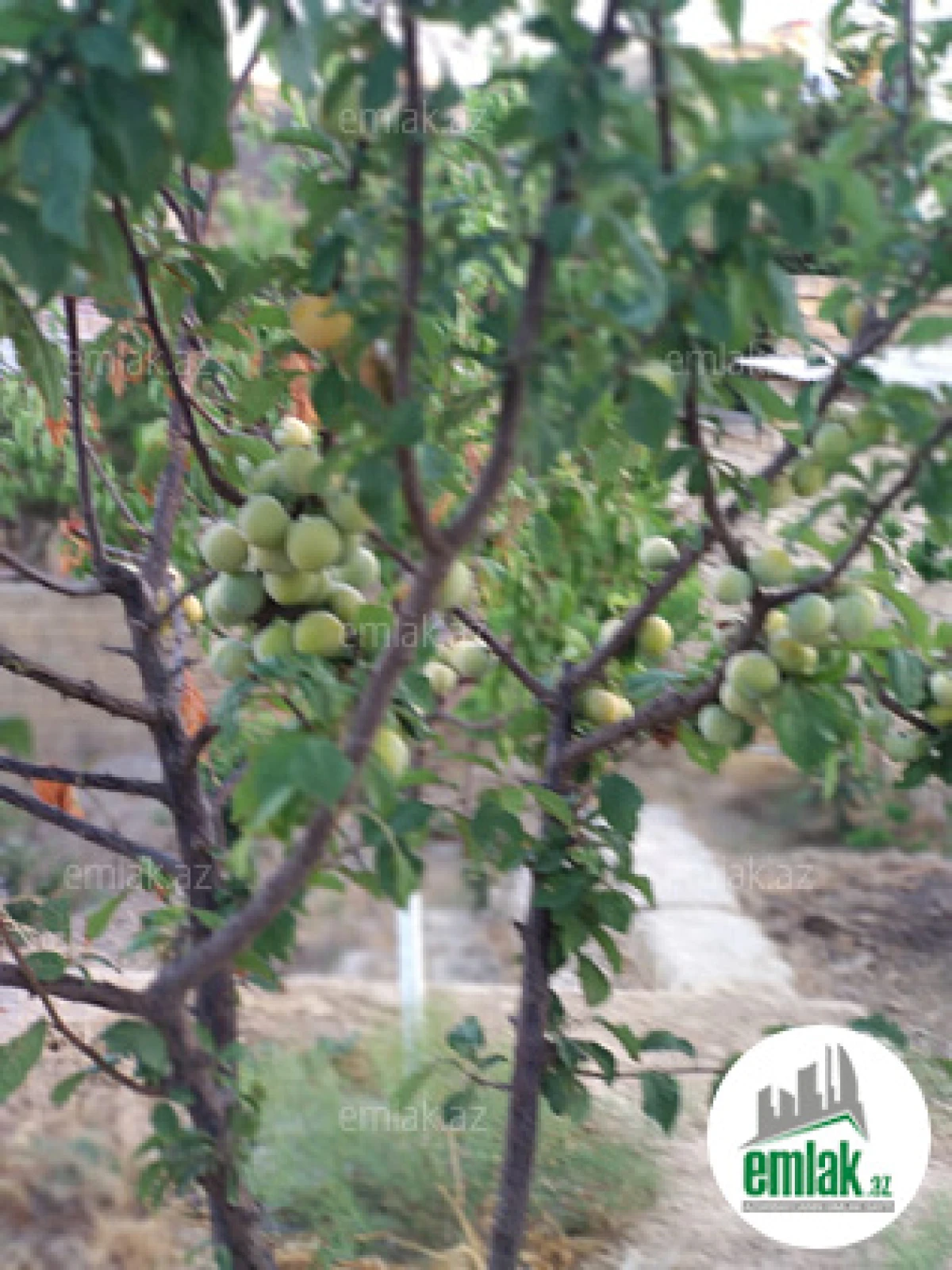 Satılır torpaq sahəsi 27 m²