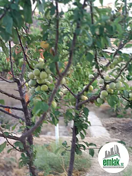 Satılır torpaq sahəsi 27 m²