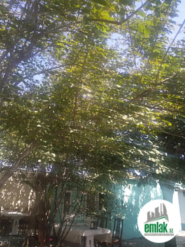 Satılır 16 otaqlı obyekt 850 m²