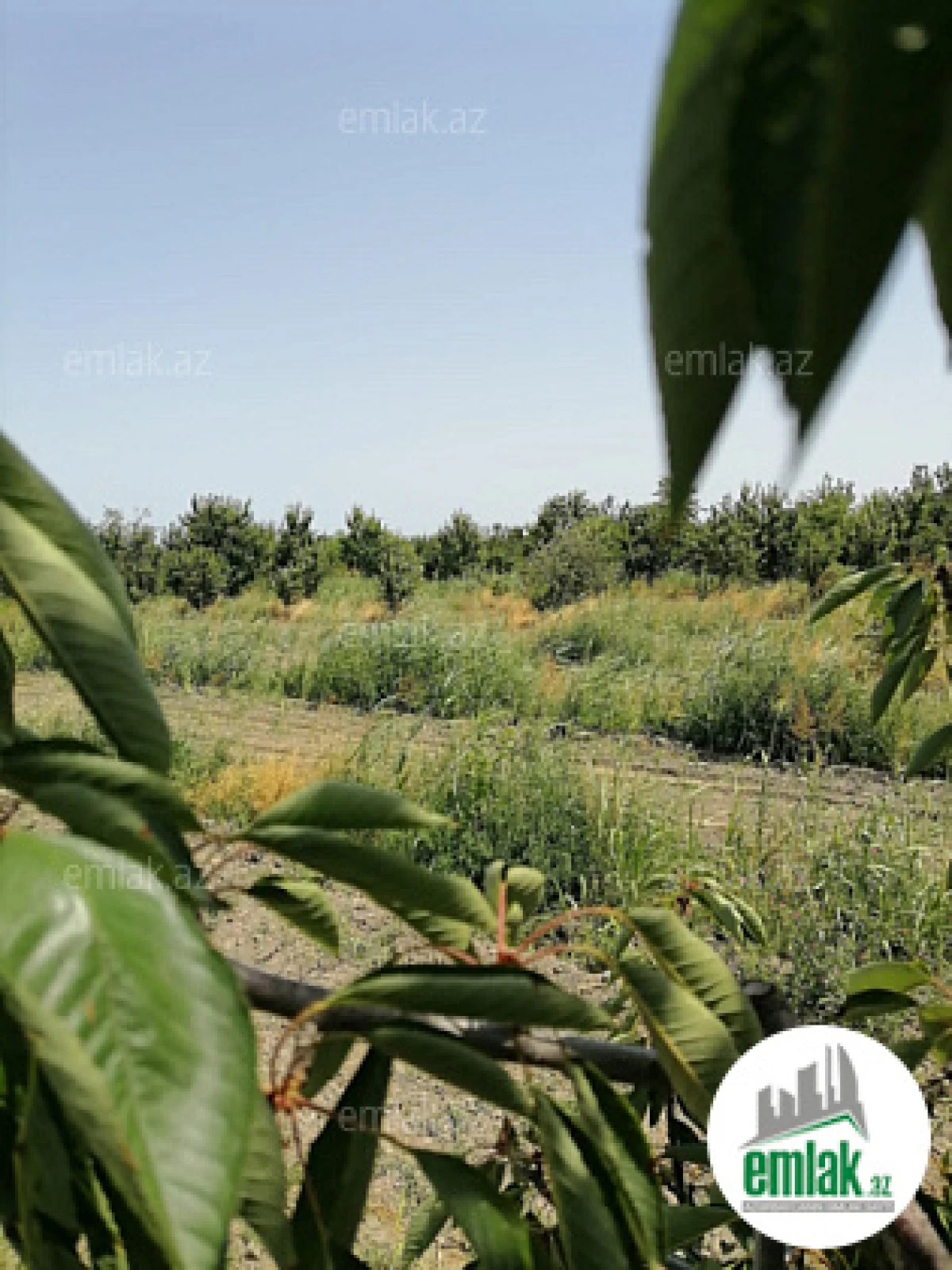 Satılır torpaq sahəsi 24 m²