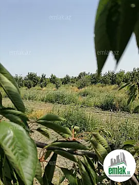 Satılır torpaq sahəsi 24 m²