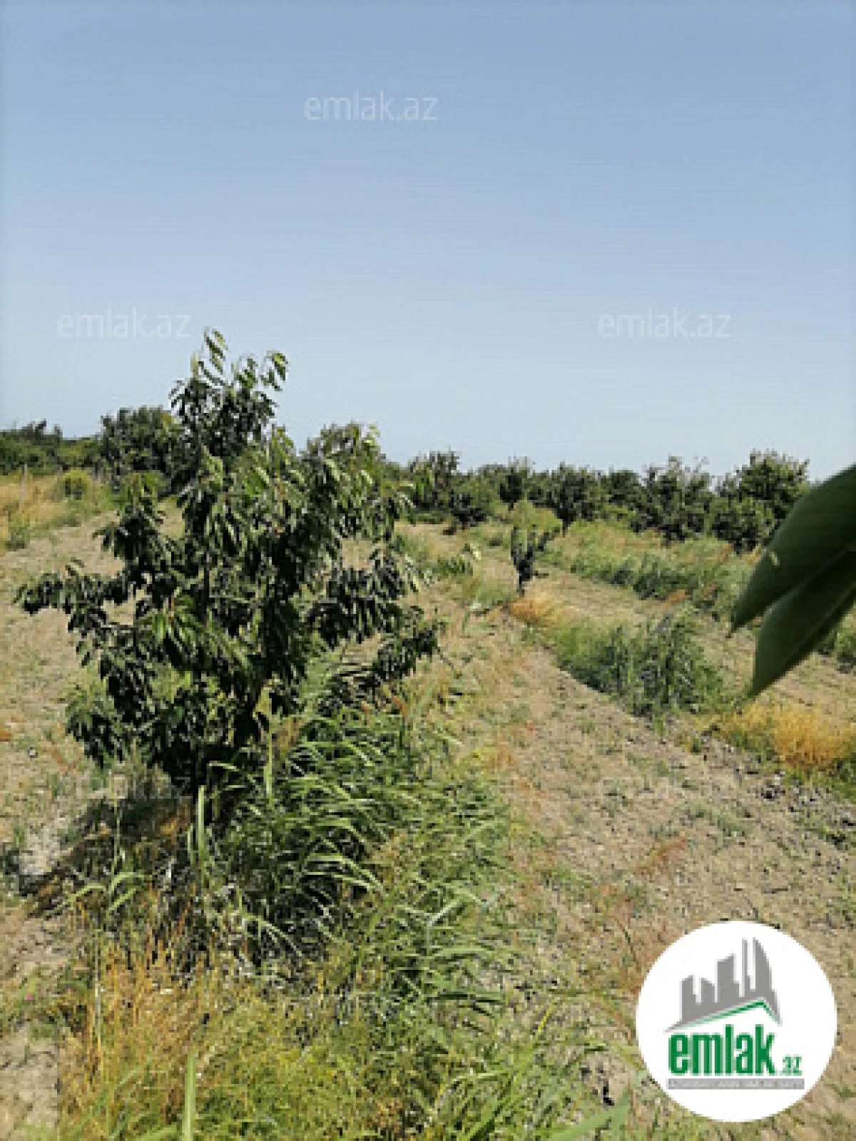 Satılır torpaq sahəsi 24 m²