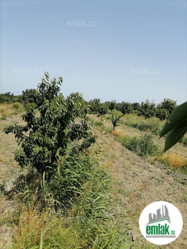 Satılır torpaq sahəsi 24 m²